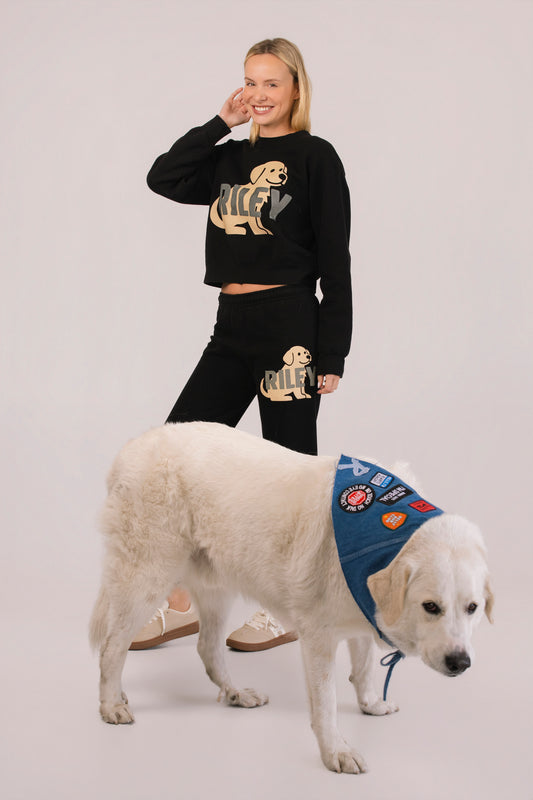 Dog Days Luca Denim Bandana