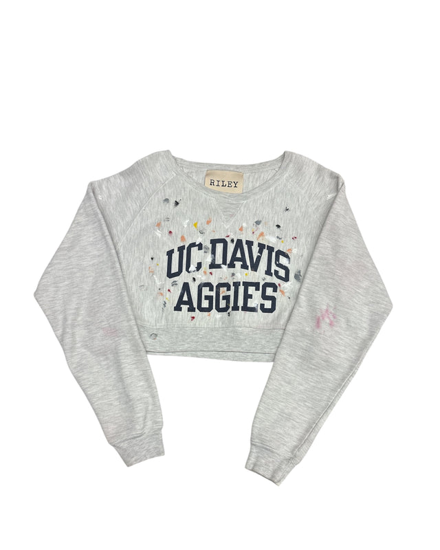 Art Major 'UC DAVIS' Sweatshirt